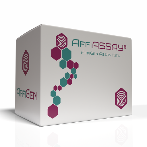 [AFG-PRF-099] AffiASSAY®​ 96-well E. coli Gyrase DNA Cleavage Assay Kit Plus (enzyme included) 