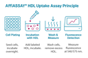 AffiASSAY® HDL Uptake Assay Kit (Fluorometric) 