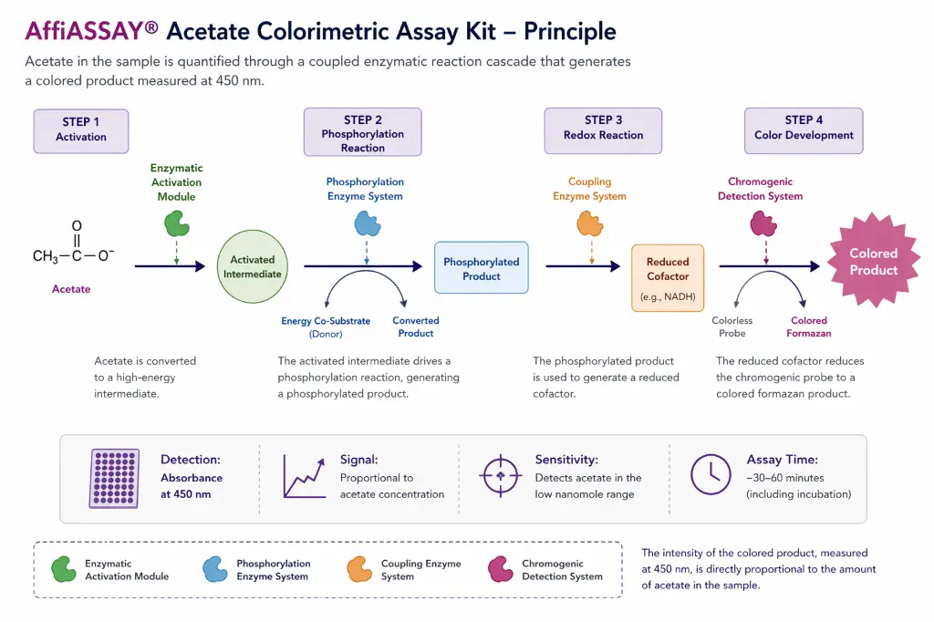 acetate-colorimetric-assay.webp