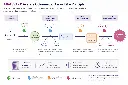 acetate-colorimetric-assay.webp