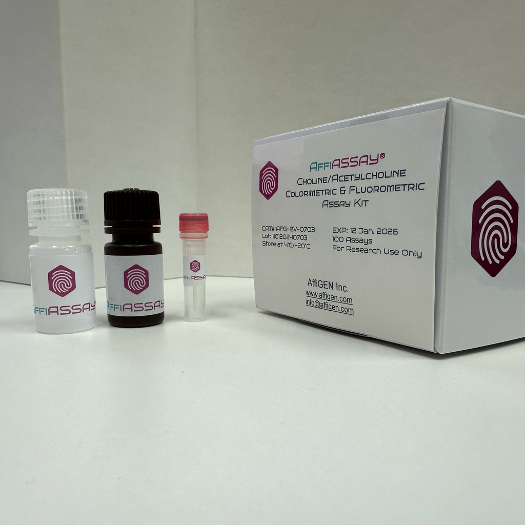 AffiASSAY® Choline/Acetylcholine Colorimetric & Fluorometric Assay Kit