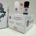 AffiASSAY® Ammonia Colorimetric Assay Kit V2