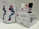AffiASSAY® Ammonia Colorimetric Assay Kit V2