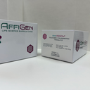 AffiASSAY® Glycogen Colorimetric Assay Kit V2