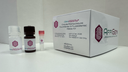 AffiASSAY® Choline/Acetylcholine Colorimetric & Fluorometric Assay Kit
