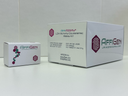 AffiASSAY® LDH Activity Colorimetric Assay Kit