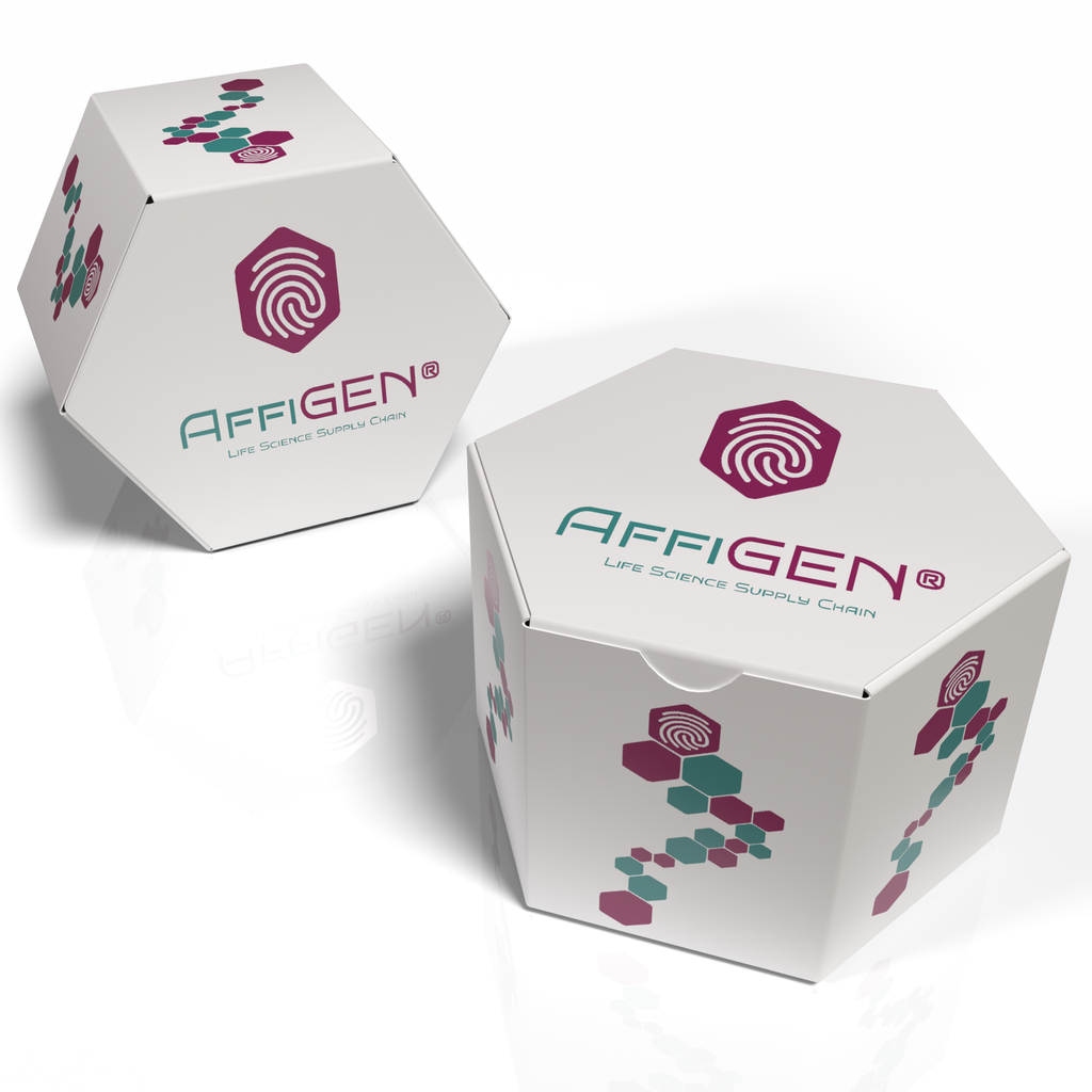 AffiASSAY® PKMYT1 Binding Assay Kit