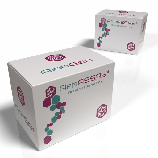 [AFG-DDS-124] AffiASSAY® ATP Synthase (Mitochondrial Complex V) Microplate Assay Kit